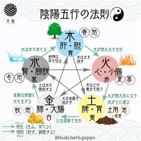 五行循環|第二部 五行循環